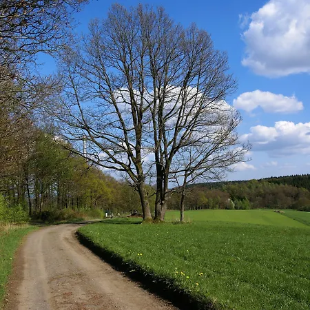 Hotel Schumacher Garni