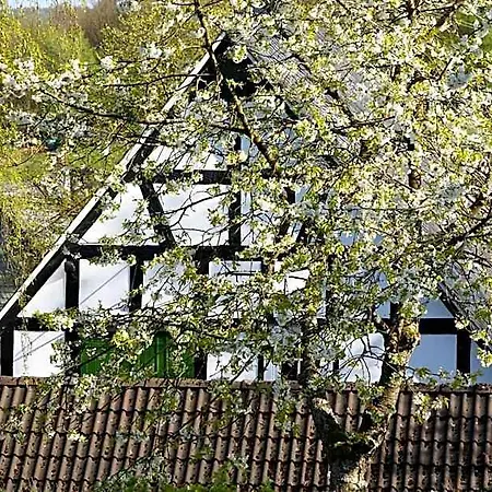 Hotel Schumacher Garni Freudenberg (North Rhine-Westphalia)