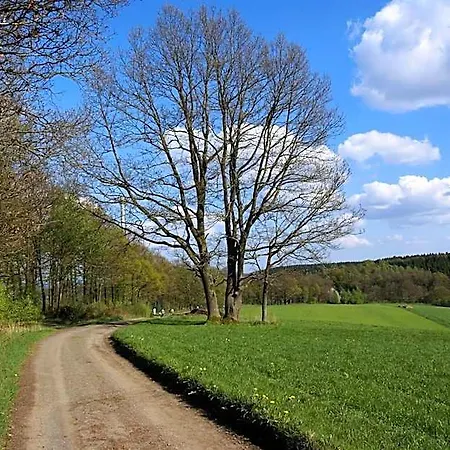 Schumacher Garni