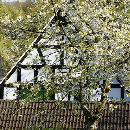 Schumacher Garni Hotel