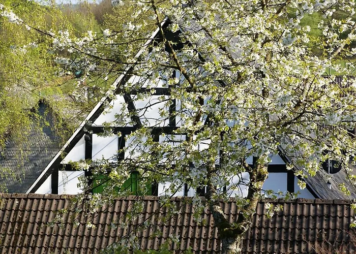 Schumacher Garni Hotel